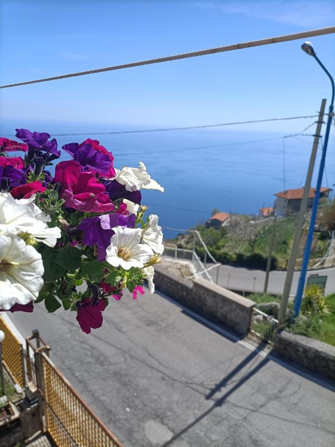 Casa Teranga Hotel Furore Buitenkant foto